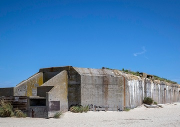 Battery 223