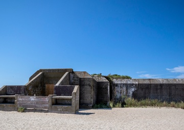 Battery 223