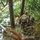 International Specialty Training Center High Angle Sniper Course International Specialty Training Center High Angle Sniper Course