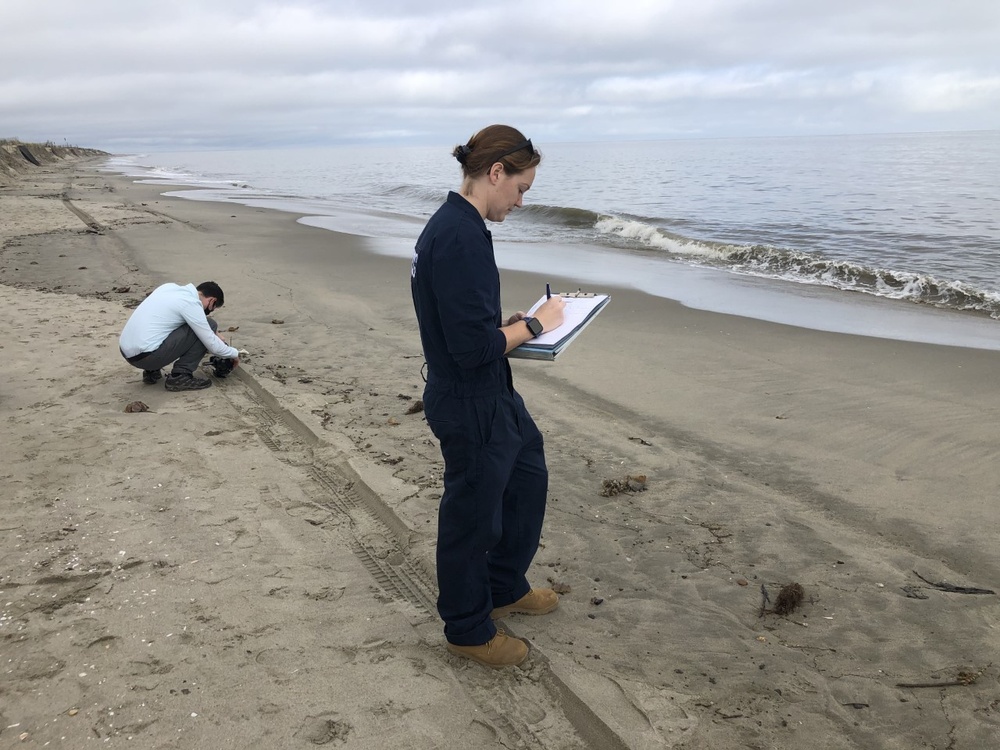 Coast Guard, Delaware Department of Natural Resources and Environmental Control overseeing cleanup of oil patties on Broadkill Beach, Delaware