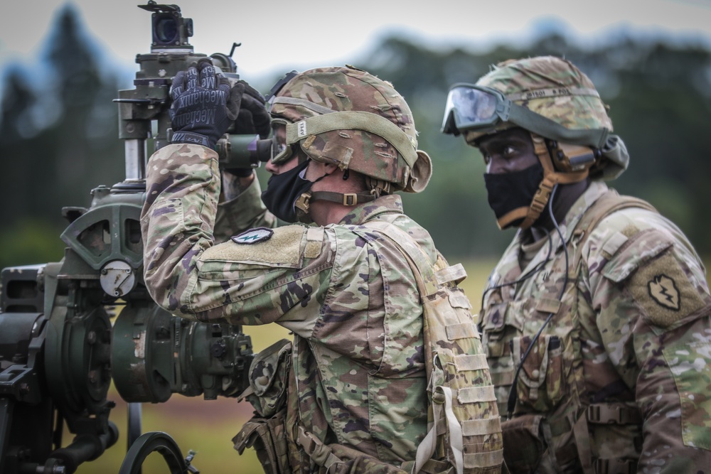 25th ID Air Assault Demonstration during Indian Army Vice Chief of the Army Staff Visit