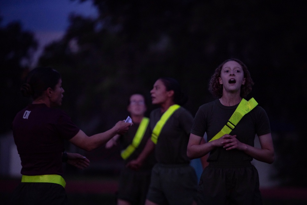 November and Papa Company Physical Training