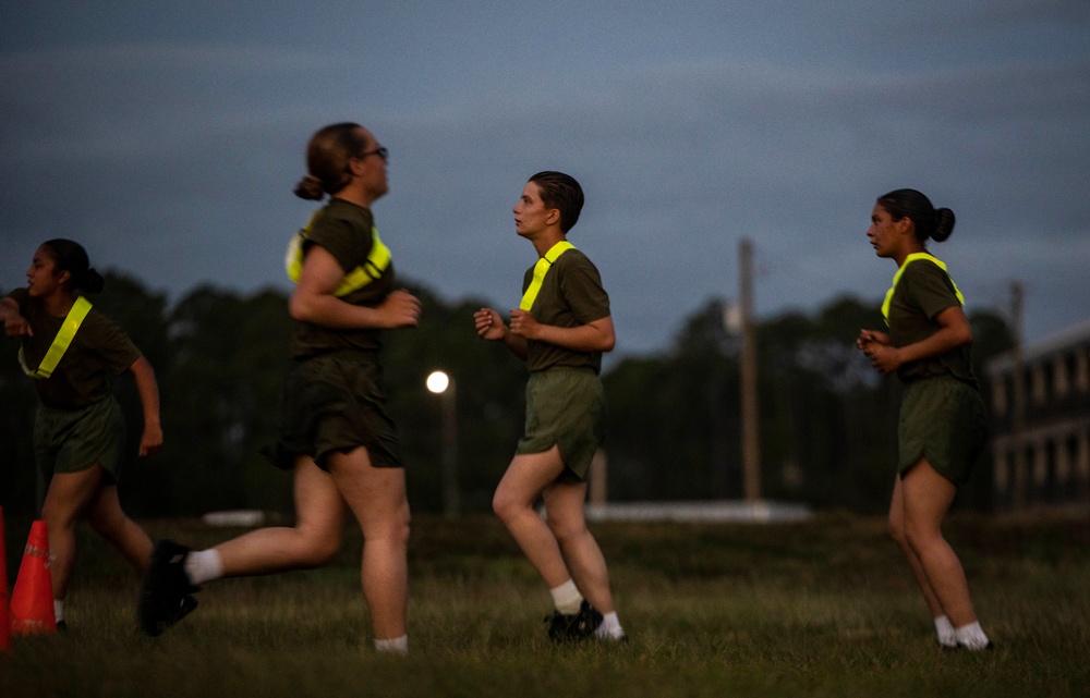 November and Papa Company Physical Training