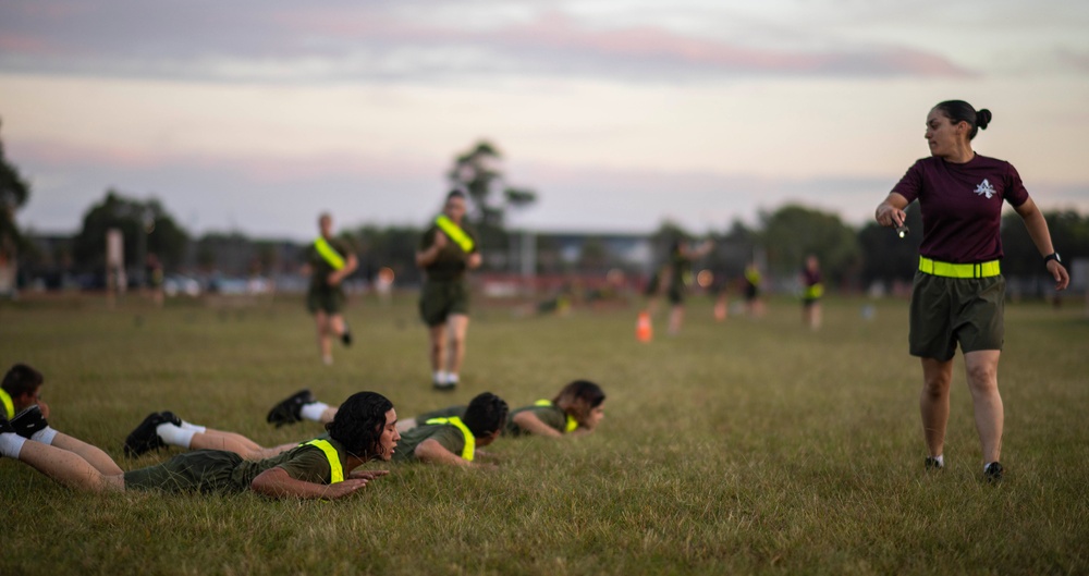 November and Papa Company Physical Training