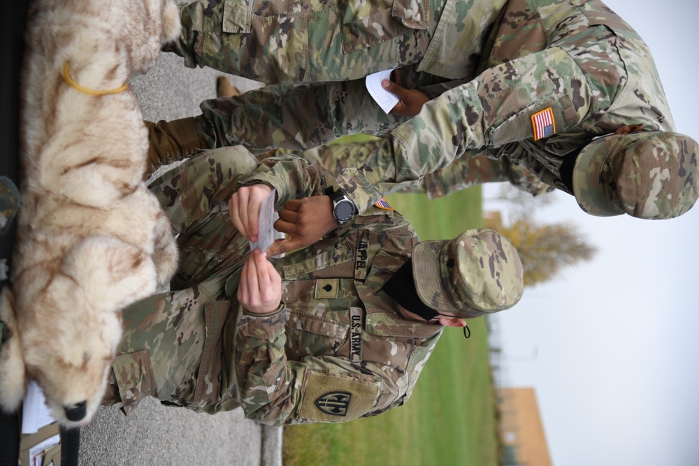 Military Working Dogs MEDEVAC Training