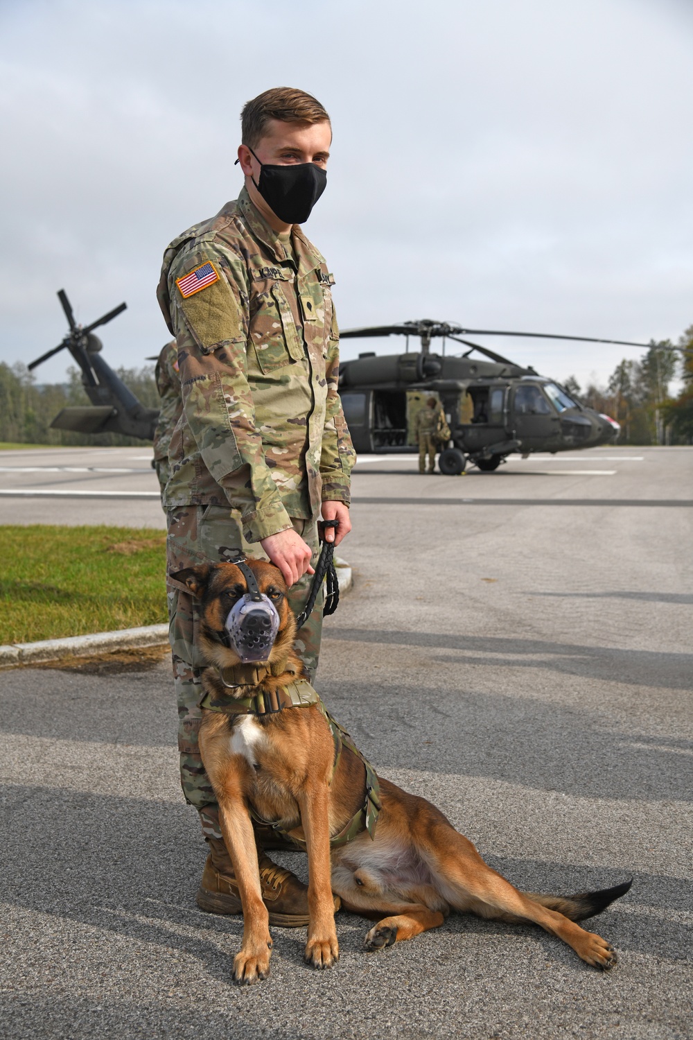 Military Working Dogs MEDEVAC Training