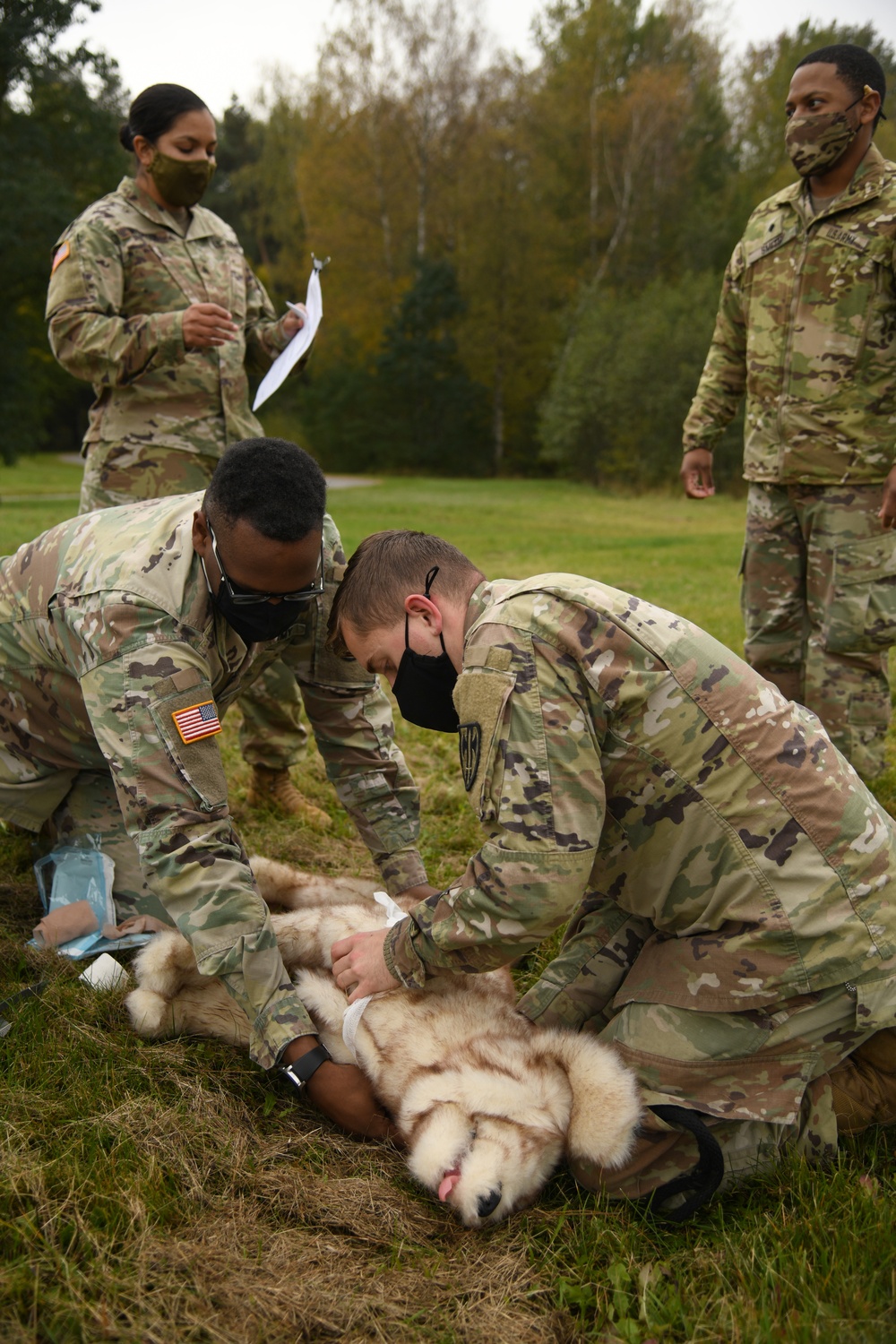 Military Working Dogs MEDEVAC Training