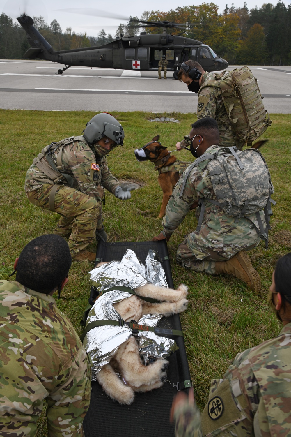 Military Working Dogs MEDEVAC Training
