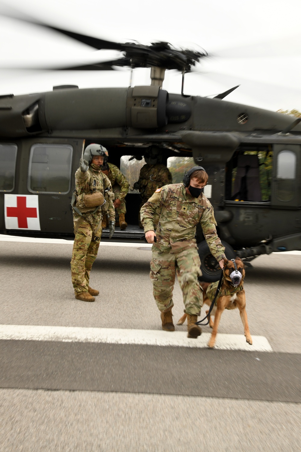 Military Working Dogs MEDEVAC Training