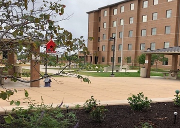 ARCP Soldiers get green thumbs