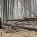 Historic wildfires test Corps’ Willamette Valley projects