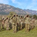 Expert Infantryman/Soldier Badge 2020