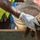 A worker wearing a high-visibility yellow safety vest and white work gloves is pouring dark soil or granular material from a bucket into a raised garden bed or container framed with wooden boards. At least one other person in a red vest is visible in the background. The image captures a close-up of the hands and upper body during an outdoor construction or landscaping task.