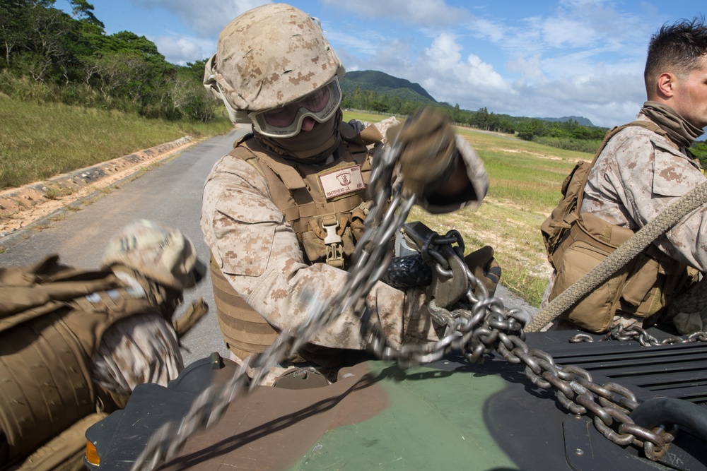 It’s a Bird, It’s a Plane, It’s a HIMARS? | Marines with 3rd TSB conduct HST operations