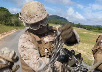 It’s a Bird, It’s a Plane, It’s a HIMARS? | Marines with 3rd TSB conduct HST operations
