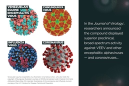 One Pill. Broad Spectrum.