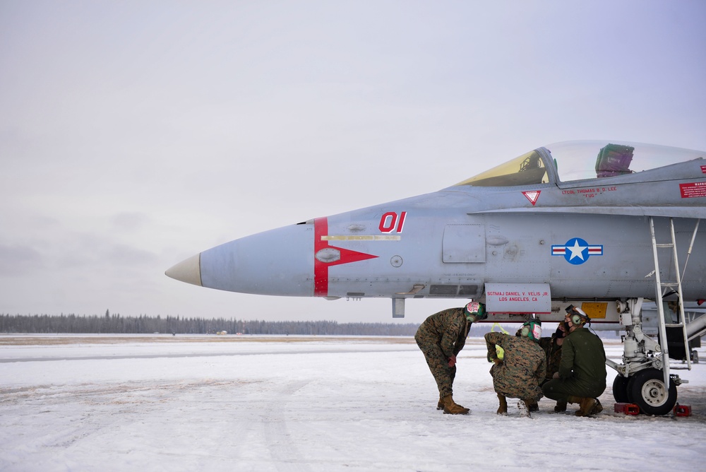 Marine Corps mechanics prep Hornets for take-off during RF-A 21-1