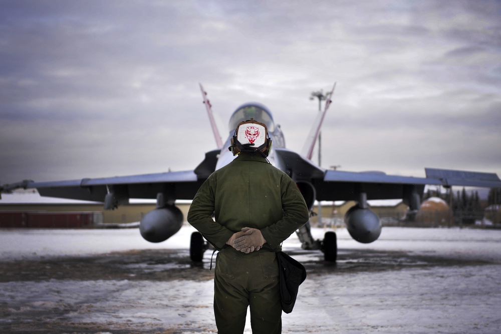 Marine Corps mechanics prep Hornets for take-off during RF-A 21-1