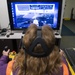 Deicing simulator training at JBER
