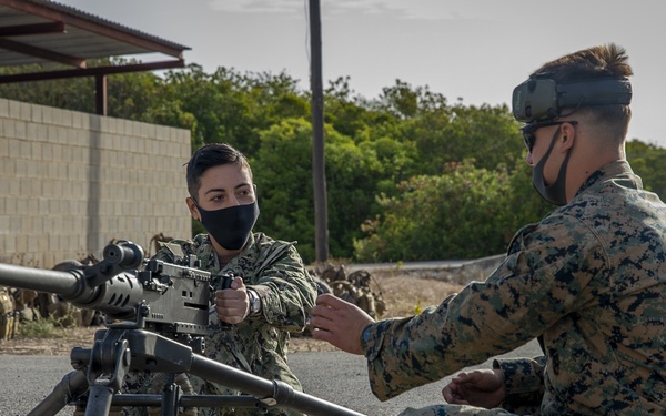 NMCB 133 Participates in Operation Lisa Azul