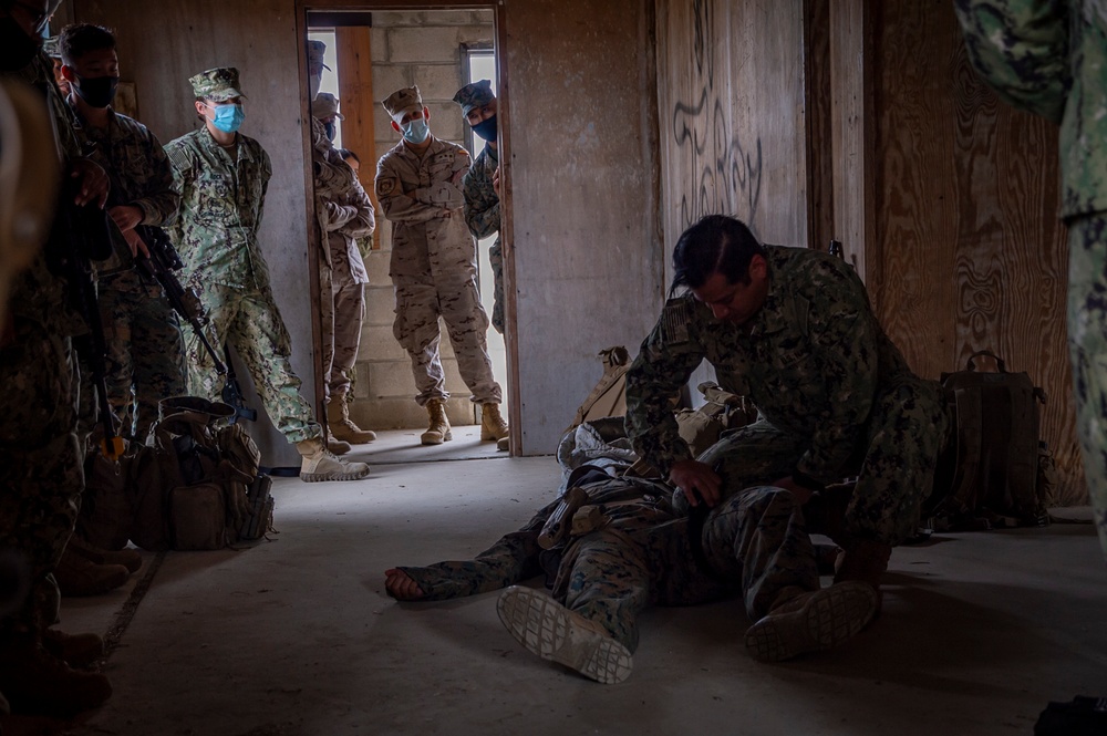 NMCB 133 Participates in Operation Lisa Azul NMCB 133 Participates in Operation Lisa Azul