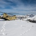 Chinook in the Alps