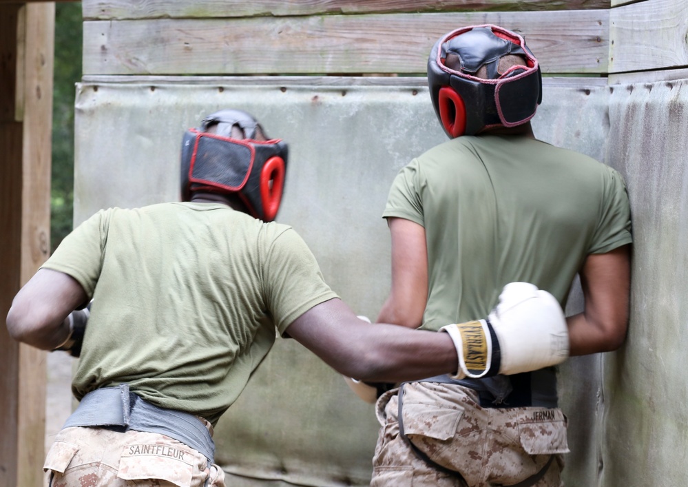 Marines with Echo Company complete the Crucible