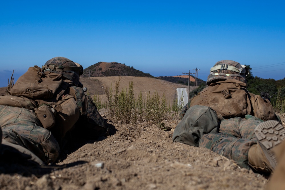 BLT 1/4 Marines conduct aerial raid training operation