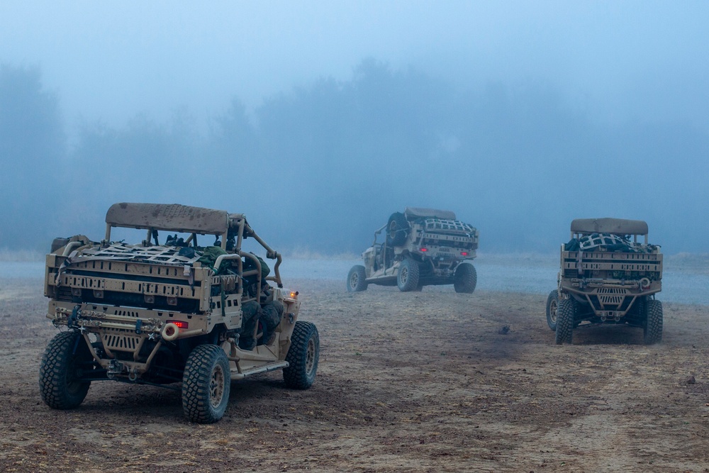 BLT 1/4 Marines conduct aerial raid training operation