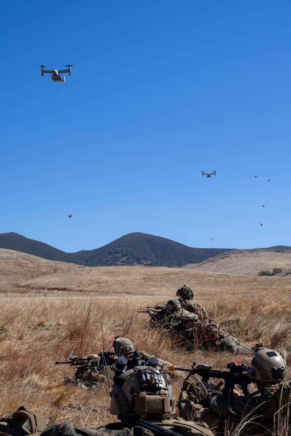 BLT 1/4 Marines conduct aerial raid training operation