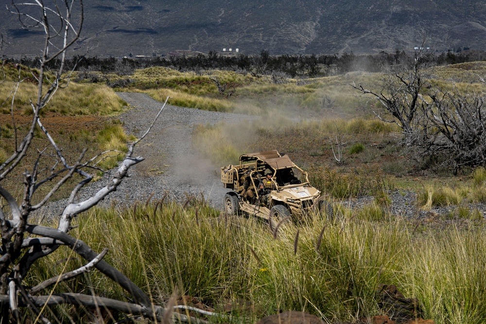 Mortar team with Fox Company, 2nd Battalion, 3rd Marines conducts range 10