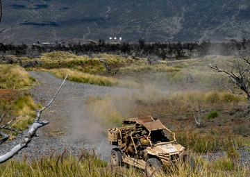 Mortar team with Fox Company, 2nd Battalion, 3rd Marines conducts range 10