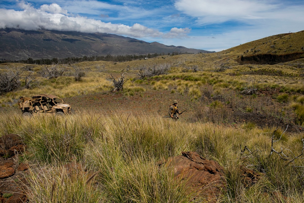 Mortar team with Fox Company, 2nd Battalion, 3rd Marines conducts range 10