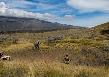 Mortar team with Fox Company, 2nd Battalion, 3rd Marines conducts range 10
