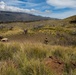 Mortar team with Fox Company, 2nd Battalion, 3rd Marines conducts range 10