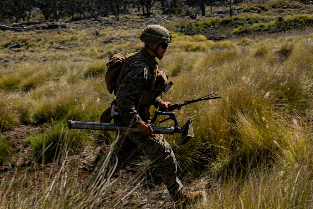 Mortar team with Fox Company, 2nd Battalion, 3rd Marines conducts range 10