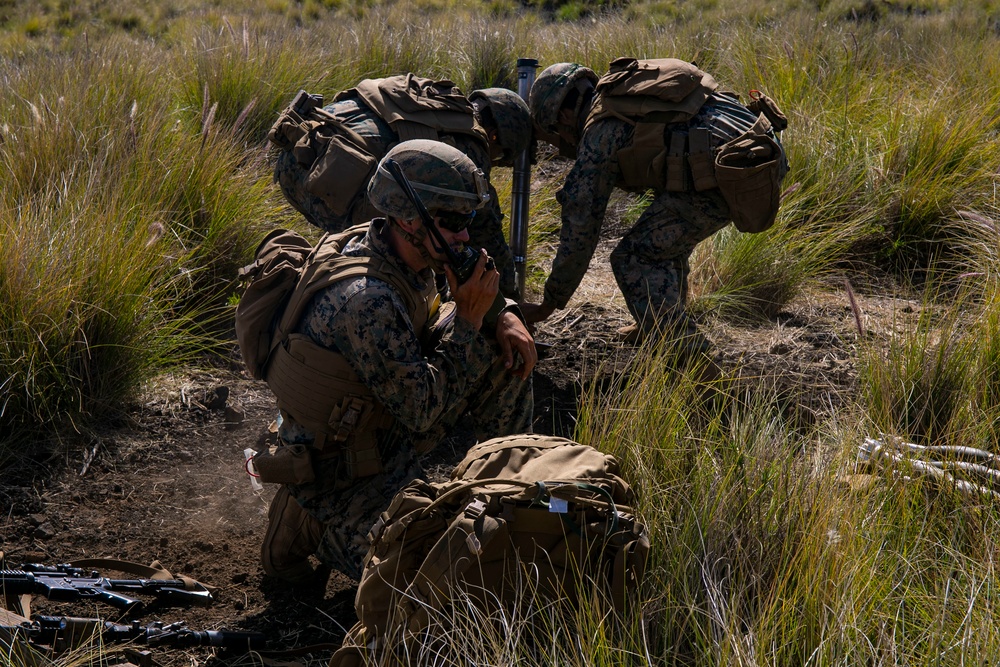 Mortar team with Fox Company, 2nd Battalion, 3rd Marines conducts range 10