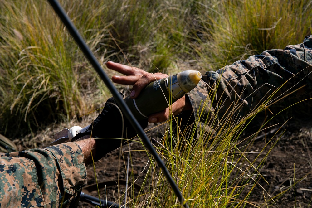 Mortar team with Fox Company, 2nd Battalion, 3rd Marines conducts range 10