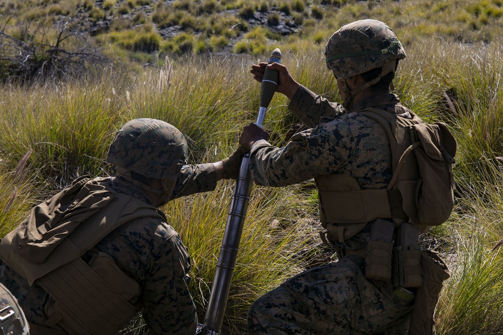 Mortar team with Fox Company, 2nd Battalion, 3rd Marines conducts range 10