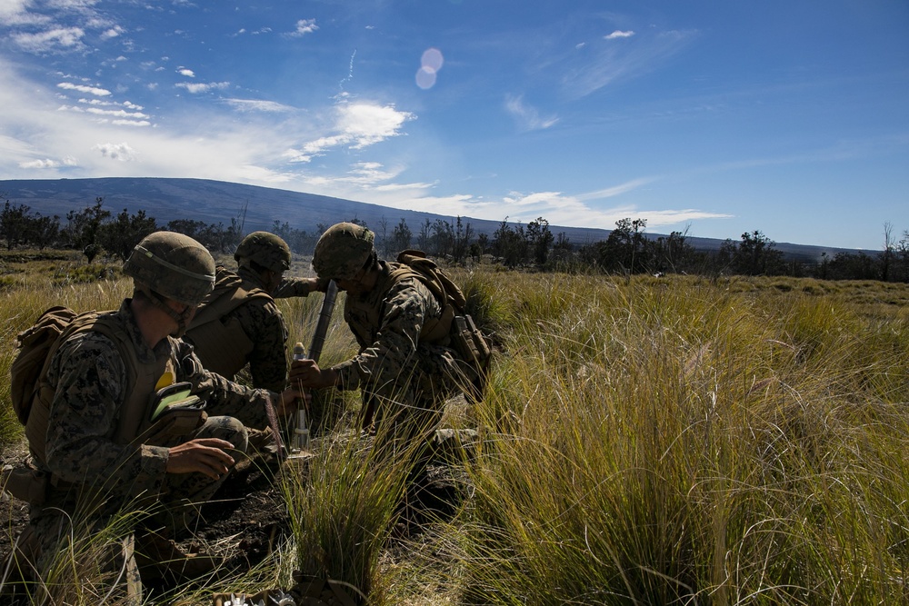 Mortar team with Fox Company, 2nd Battalion, 3rd Marines conducts range 10