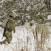 Winter Training: Advanced Warrior Competition