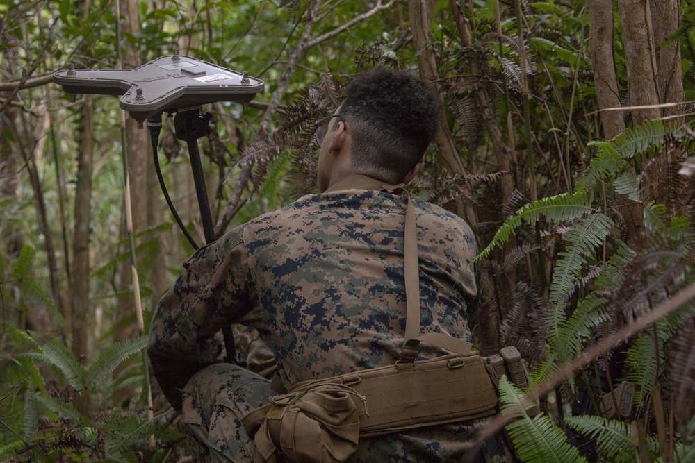 Marines and Sailors aboard USS America Conduct Jungle Raid