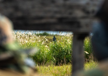 U.S. Marines participate in advanced marksmanship drills during exercise Fuji Viper 21.1