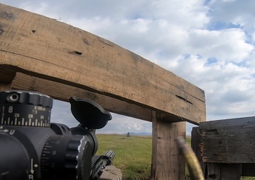 U.S. Marines participate in advanced marksmanship drills during exercise Fuji Viper 21.1