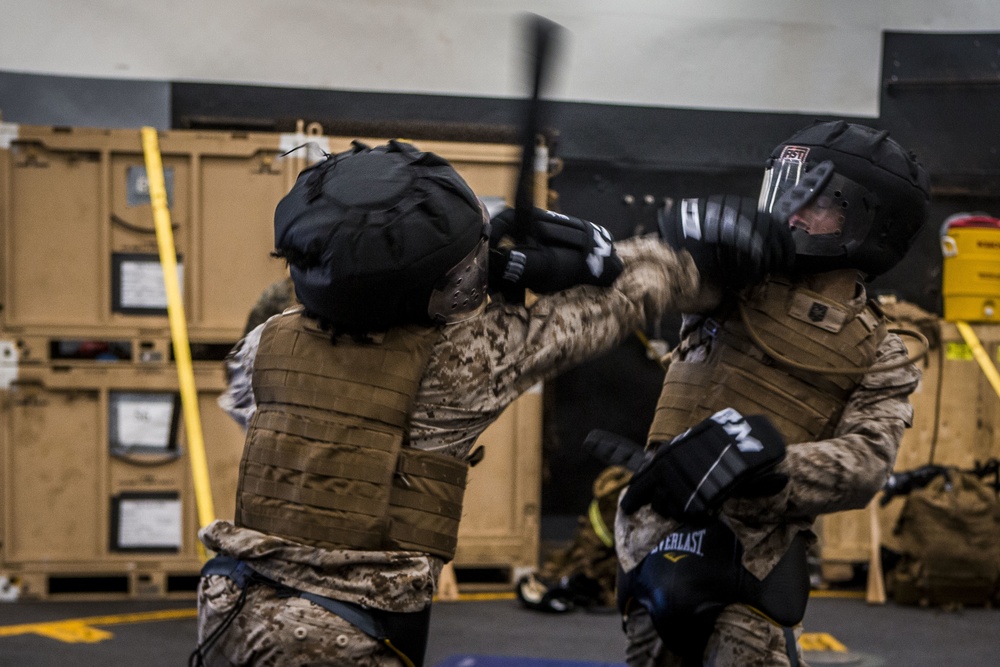 TF Ellis | Martial Arts Instructor Course