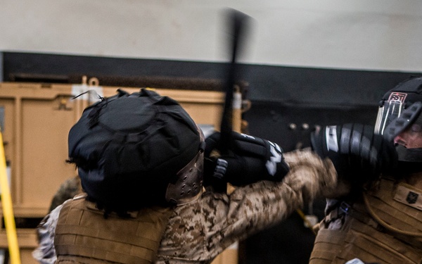 TF Ellis | Martial Arts Instructor Course