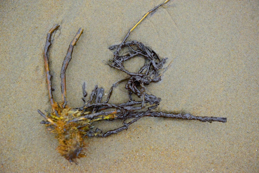 Contractors from Broadkill 2020 response identify oil debris for removal