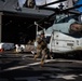 Marines and Sailors compete aboard USS New Orleans