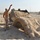 891st Engineer Battalion Conducts Combat Engineer Training with Kuwaiti Land Forces Soldiers