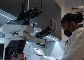 Ramstein Humanitarian Efforts: Medical prowess